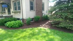Landscape Maintenance
