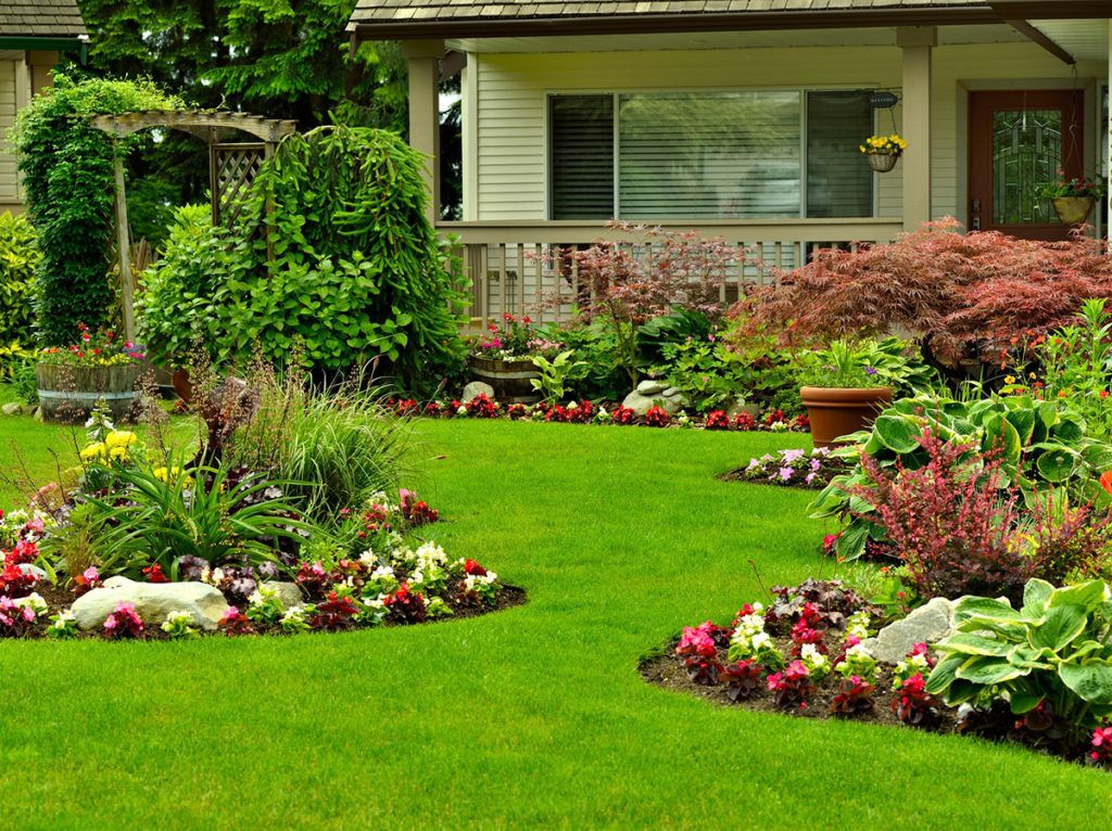 Landscaping Design and Install