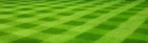 Mankato Lawn Care